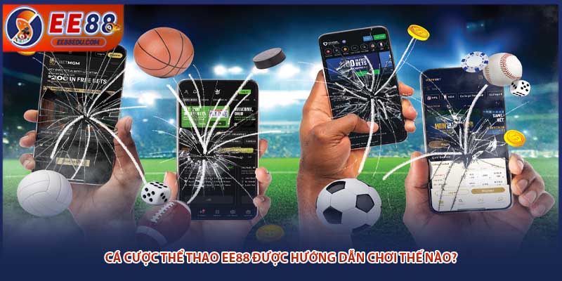 Cá cược thể thao EE88 được hướng dẫn chơi thế nào?