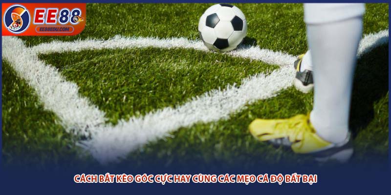 Cách Bắt Kèo Góc Cực Hay Cùng Các Mẹo Cá Độ Bất Bại