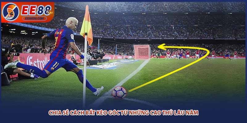 Chia sẻ cách bắt kèo góc từ những cao thủ lâu năm