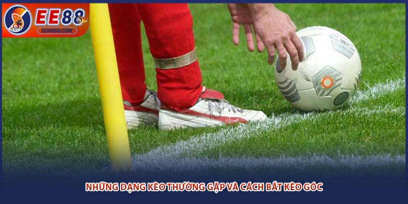 Những dạng kèo thường gặp và cách bắt kèo góc